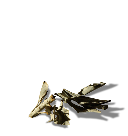 fgg
